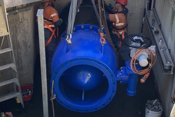 IMG_1310 Needle Valve from Landers Shute Case Study