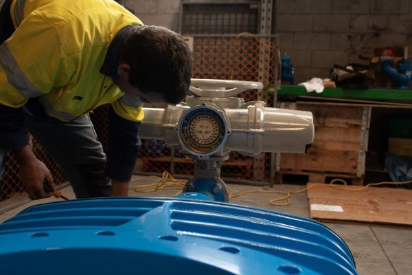 3391518-mtr_12337283381277904198