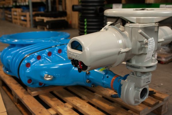 3391518-mtr_1879340419610945336