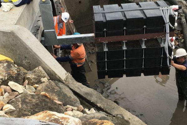 3391518-mtr_3857902995219606091 3391518-mtr_3857902995219606091